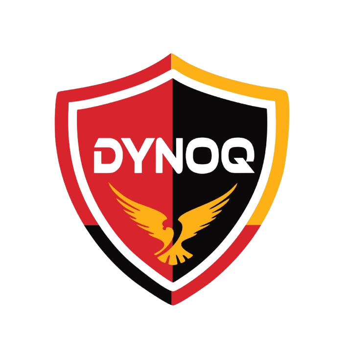 Dynoq Security Service Provider